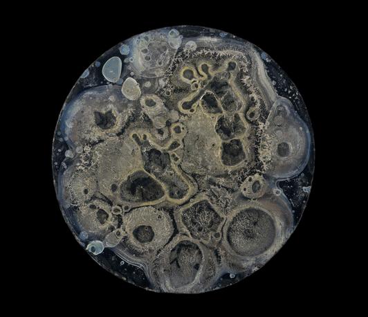 Image Making as Knowledge Production: Earth, Heavens, and Body